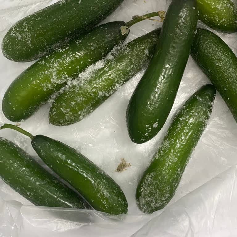 Profilo Buzdolabım Aşırı Soğutma Yapıyor Ve Servis Çözüm Sağlamıyor