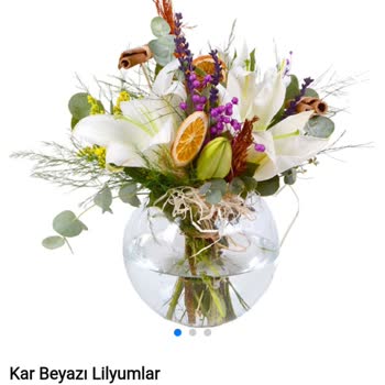 Lilyum Aranjman Görseliyle Uyuşmuyor, Hayal Kırıklığı