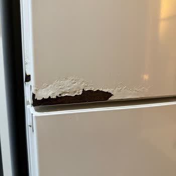 Bosch Buzdolabı Kapağındaki Paslanma Garanti Süresi Dolduğu İçin Reddedildi