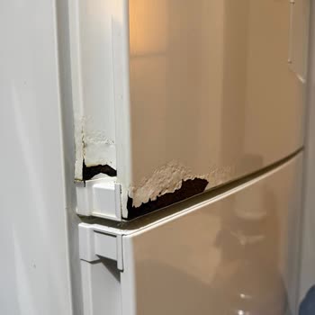 Bosch Buzdolabı Kapağındaki Paslanma Garanti Süresi Dolduğu İçin Reddedildi