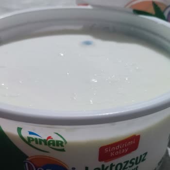 Son Kullanma Tarihi Geçmemiş Yoğurtta Küf: Sağlık Endişesi Ve Güven Kaybı