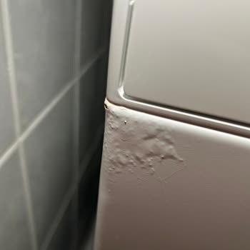 Bosch Çamaşır Makinesinin Kapağındaki Paslanma Sorunu