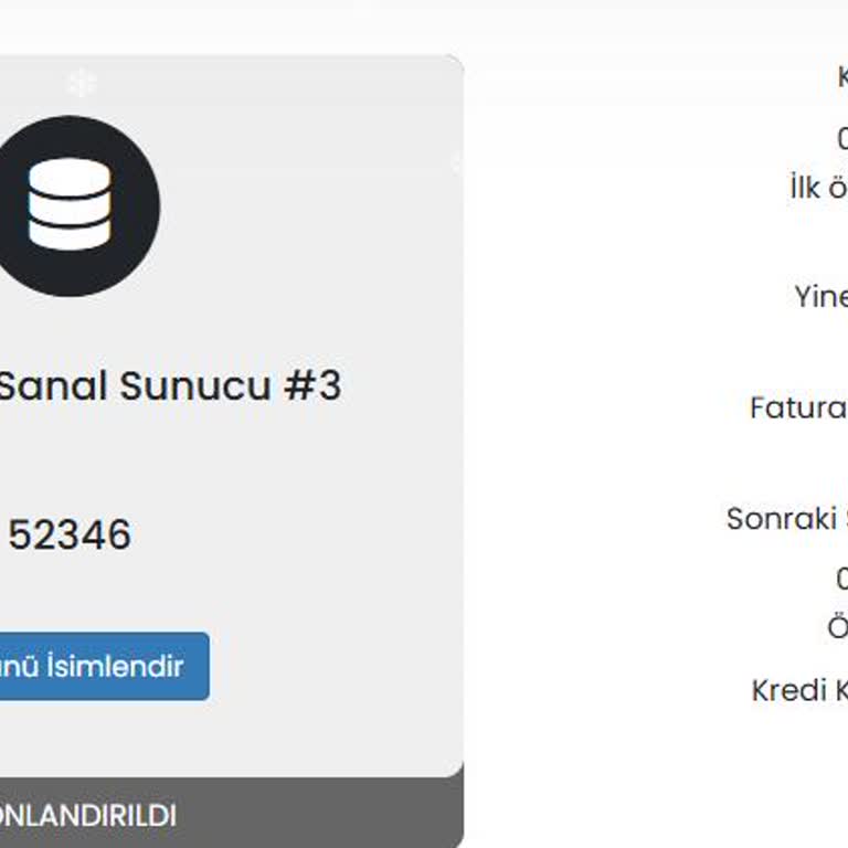 Ödeme Gecikmesi Nedeniyle Uyarı Yapılmadan Sunucu Silinmesi Ve Veri Kaybı