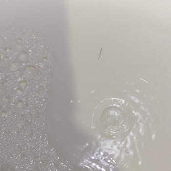 Yoğurtta Kıl Görüldü, Sağlık Endişesi Ve Ücret İadesi Talebi