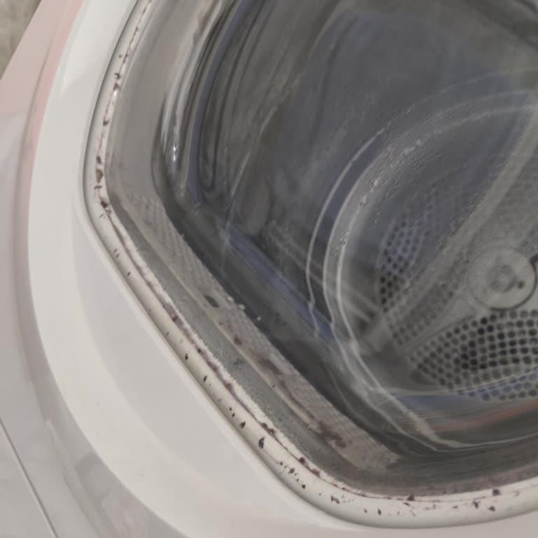 Hoover Kurutma Makinesi Kapak Lastiği Temizlenemiyor, Hijyen Sorunu