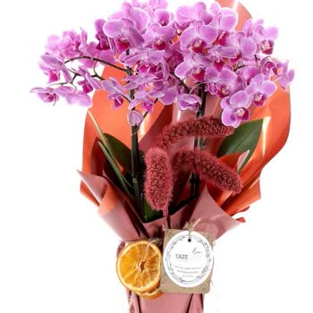 Görseliyle Uyuşmayan Orkide Ve İade Reddi