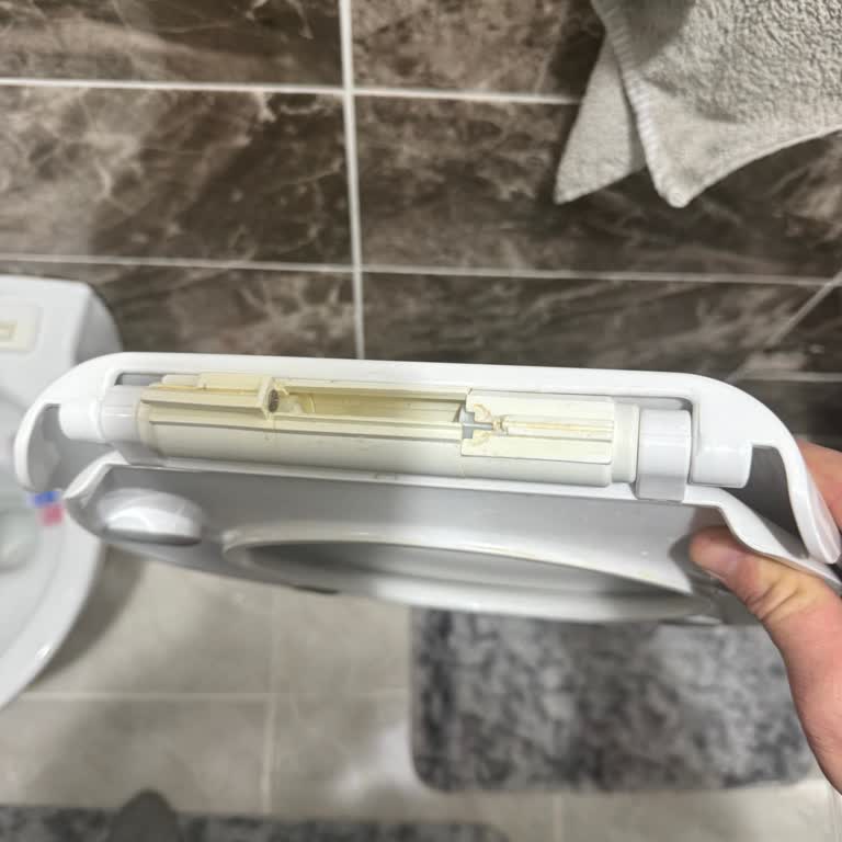 Turkuaz Seramik Klozet Kapak Parçası İçin Yedek Parça Bulunamıyor