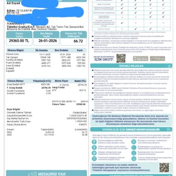 Aşırı 29.000 TL İki Aylık Fatura Ve Ölçüm Hatası İptali Talebi