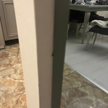 Böceklerle Kaplı Odalar Ve Zehirli Koku Otelde Yaşanan Kabus