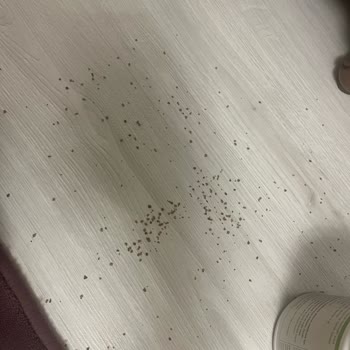 Trendyol Olumsuz Yorumları Engelliyor, Kötü Paketleme Ürünü Zayi Etti