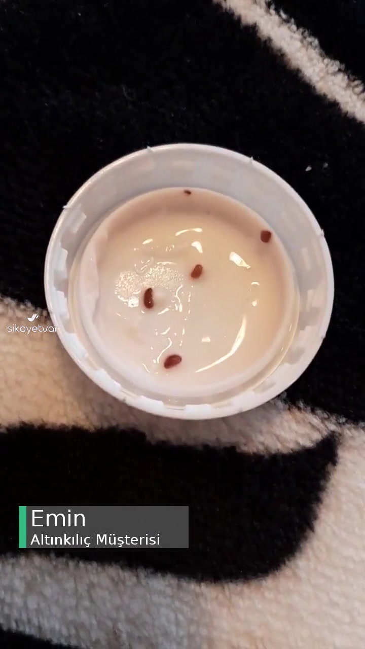 Altınkılıç Kefirix'in İçinden Çıkan Garip Siyah Noktacıklar videonun kapak resmi