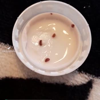 Altınkılıç Kefirix'in İçinden Çıkan Garip Siyah Noktacıklar