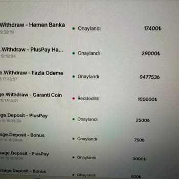 Kazancım Ve Ana Paramın Tam Olarak Ödenmemesi