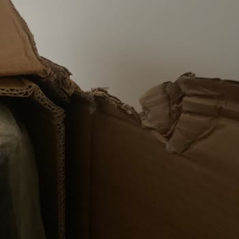 Normod'dan Gelen L Koltuk Teslimatında Özensiz Taşıma Ve Hasarlı Koli Şikayeti