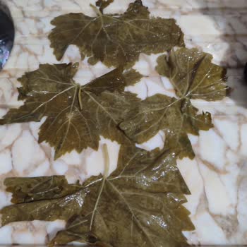 Çürük Yapraklar Nedeniyle İade Talebi