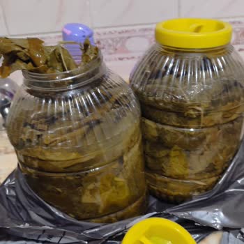 Çürük Yapraklar Nedeniyle İade Talebi