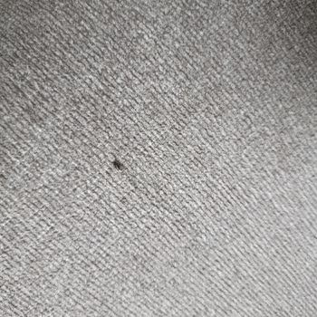 Enza Home'dan Gelen Kırık Kol Ve Berjer İçin Garanti Talebi