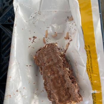 BİM Gofgof Fındıklı Gofrette Böcek Sorunu