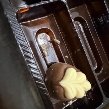 Bolçi Çikolata Çikolataların İçinden Kurt Ve Kelebek Çıktığını Gördük