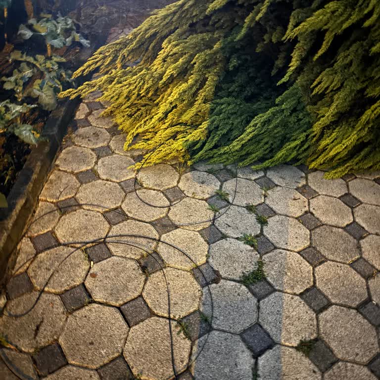 Fırtına Nedeniyle Koptu İnternet Kablosu, Binada Günlerdir Kesinti Ve Acil Çözüm Bekleniyor