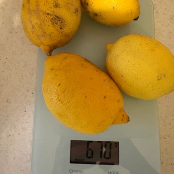 Meyve Ve Sebzelerde Ağırlık Azlığı Ve Haksız Ücret