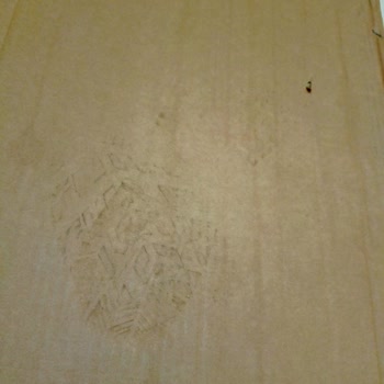 Hasarlı Ayakkabılık Kargosu DHL Tarafından Kapıdan Alınarak Geri Gönderilmek Talep Ediliyor