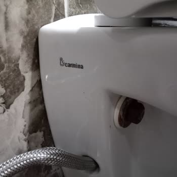 Carmine Gömme Klozet Kapak Aksesuarının Yedek Parçası Bulunamıyor