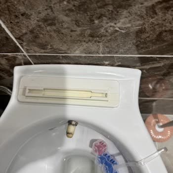 Carmine Gömme Klozet Kapak Aksesuarının Yedek Parçası Bulunamıyor