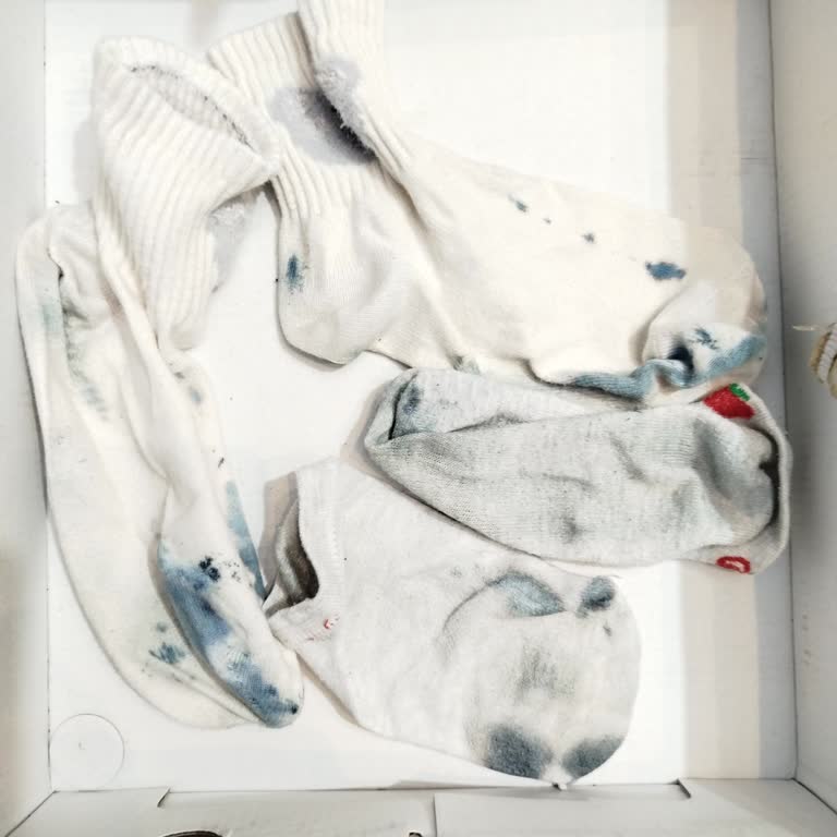 Polaris Botta Boya Sızıntısı Ve Mağazanın İade Reddi