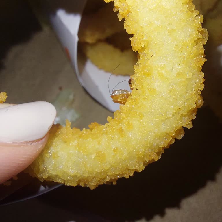 Burger King Soğan Halkasında Kıl Bulunması ve Ücret İadesi İsteği