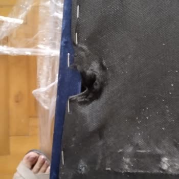 Özsakarya Ticaret Kanepenin Altı Tamamen Kırıldı