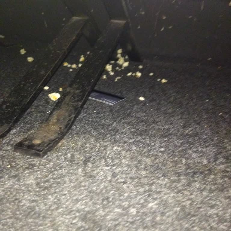 Cinema Pink'de Hijyen Ve Fare Sorunu