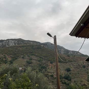 Gazipaşa’da Sokak Lambalarının Çalışmaması Kadın Ve Çocuk Güvenliğini Tehlikeye Atıyor