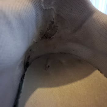 Puma Ayakkabım Üç Ayda Yırtıldı, Garanti Talebi Açıklamasız Reddedildi