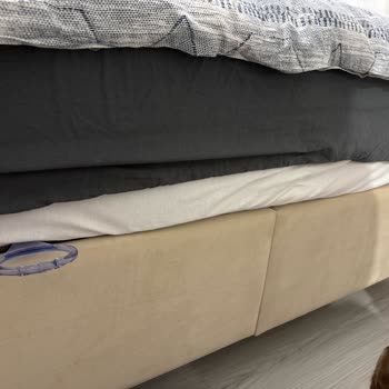 Garanti Servisinden Yanıtsızlık Ve Yatakta Süren Ses Sorunu