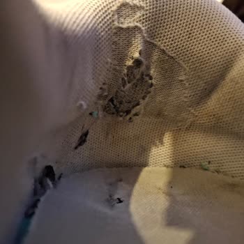 Deichmann Rize Şimal AVM'den Satın Aldığım Puma Sneaker 3 Ayda Yırtıldı, Değişim Talebim