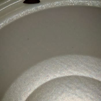 Tamek Domates Salçasında Bulunan Kara Cisimler Gıda Güvenliği Endişesi