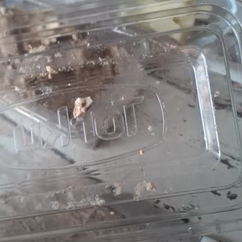 Torku Kakaolu Tahin Helva’da Yabancı Sert Nesne Bulundu