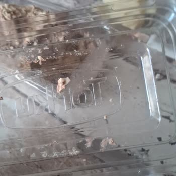 Torku Kakaolu Tahin Helva’da Yabancı Sert Nesne Bulundu