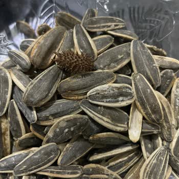 Amigo Çekirdeğinde Bulunan Yabancı Cisim Çocukların Güvenliğini Tehdit Ediyor