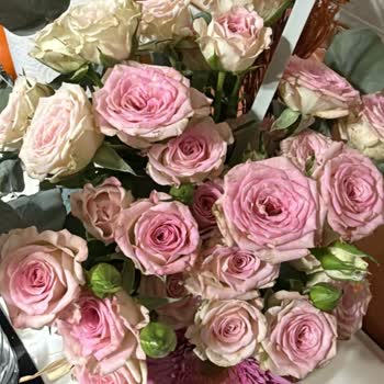 Çiçek Sepeti'nden Gelen Solmuş Çiçekler Beni Mahcup Etti Ve Tam İade Talep Ediyorum