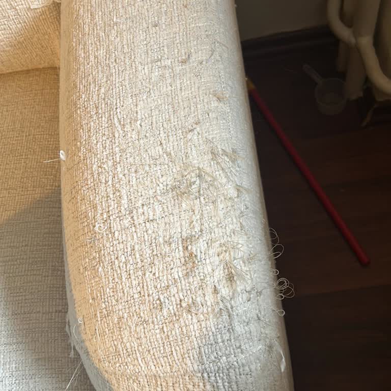 Pati Dostu Koltuk 2 Saatte Deforme Oldu, Mağaza Sorumluluk Reddi