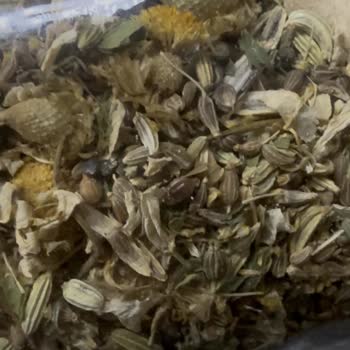 Bitki Çayında Böcek Tespiti Ve Geri Ödeme Talebi