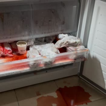 Siemens Buzdolabının Aniden Kapanması ve Gıda Kayıpları, Servisin Dikkatsiz Yaklaşımı