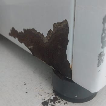 Bosch Çamaşır Makinesinde Paslanma Ve Ücretsiz Parça Değişimi Talebi