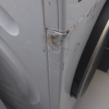 Bosch Çamaşır Makinesinde Paslanma Ve Ücretsiz Parça Değişimi Talebi