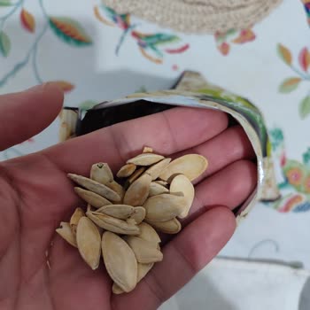 Çerezya Kabak Çekirdeği Tazeliği Ve Lezzeti Beklentileri Karşılamıyor