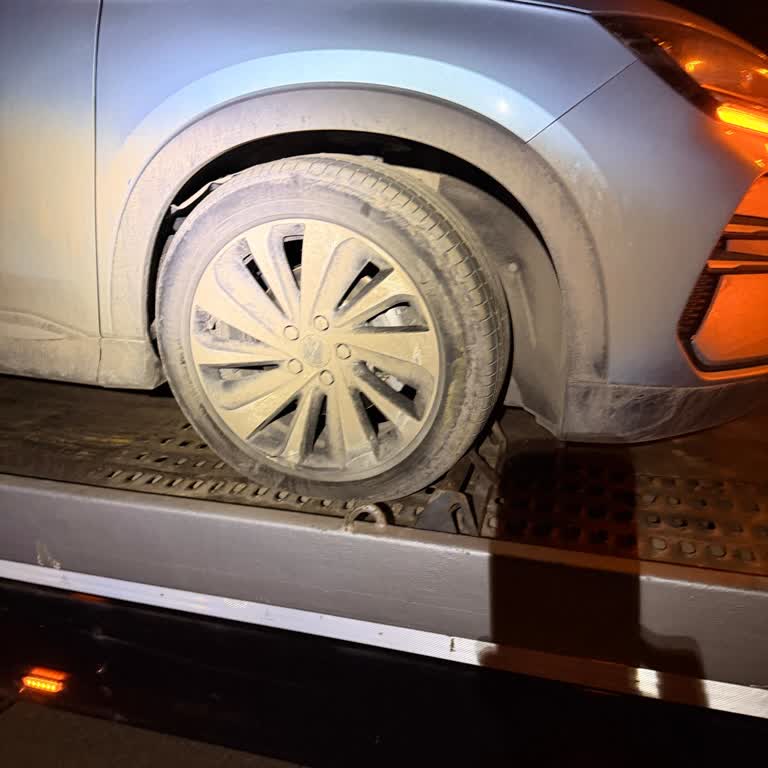 Yetkili Serviste 45 Gün Onarım Süresi, İkame Araç Talebi