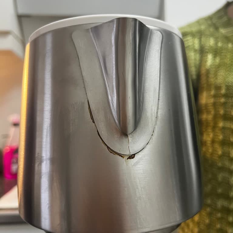 Süzgeç Sızıntısı Ve Küf Sorunu, Tam İade Talebi