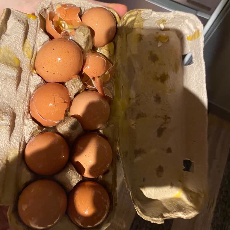 Kırık Yumurta Ve Gönderilmeyen Pastırma İçin Ücret İadesi Talebi